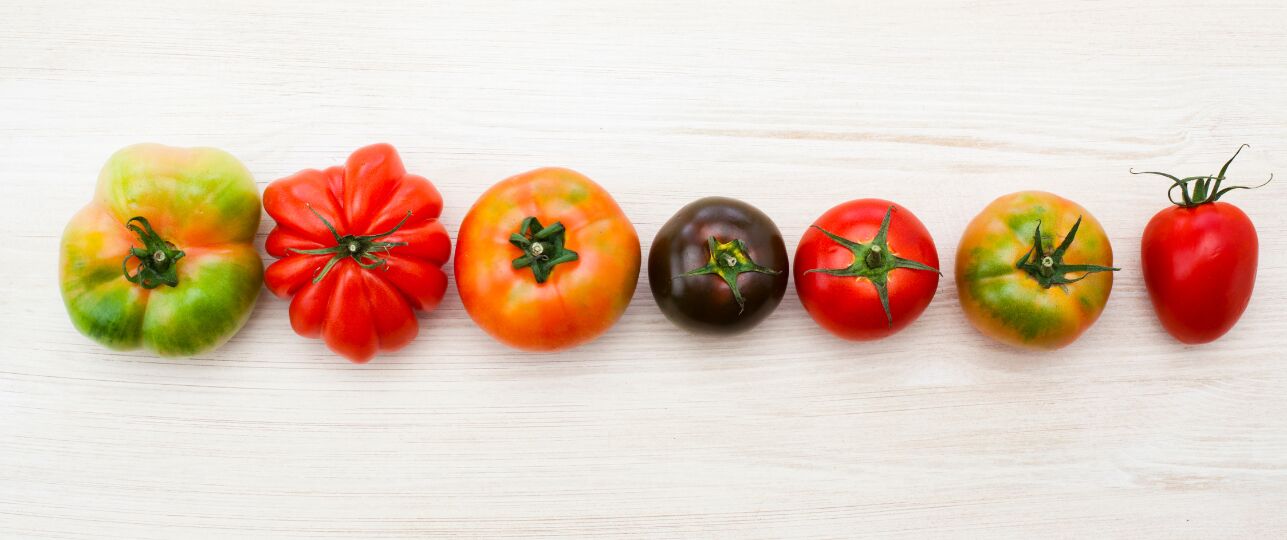 Tomatenrassen soorten