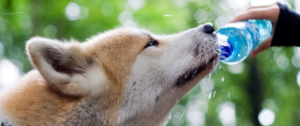 Dreigend drinkwatertekort door verspilling