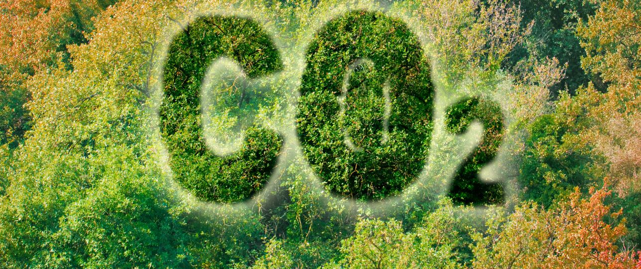 Minder opname CO2 door natuur