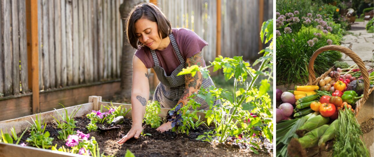Moestuin aan huis beginnen
