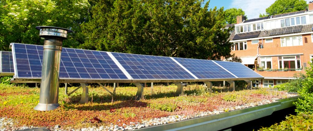 Huidige afbeelding: Groene daken, sedumdak sedumdaken, groen dak
