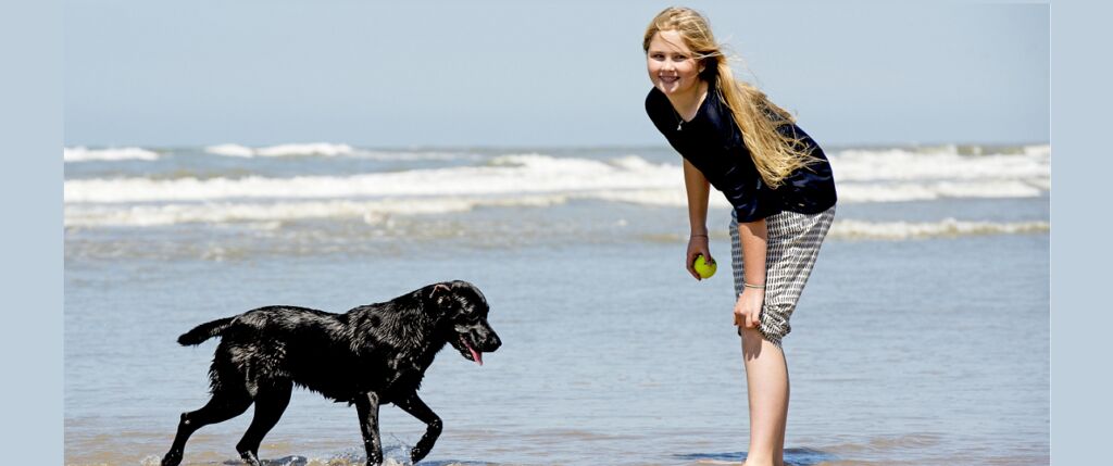 Huidige afbeelding: Koningshuis verdriet, labrador Nala overleden