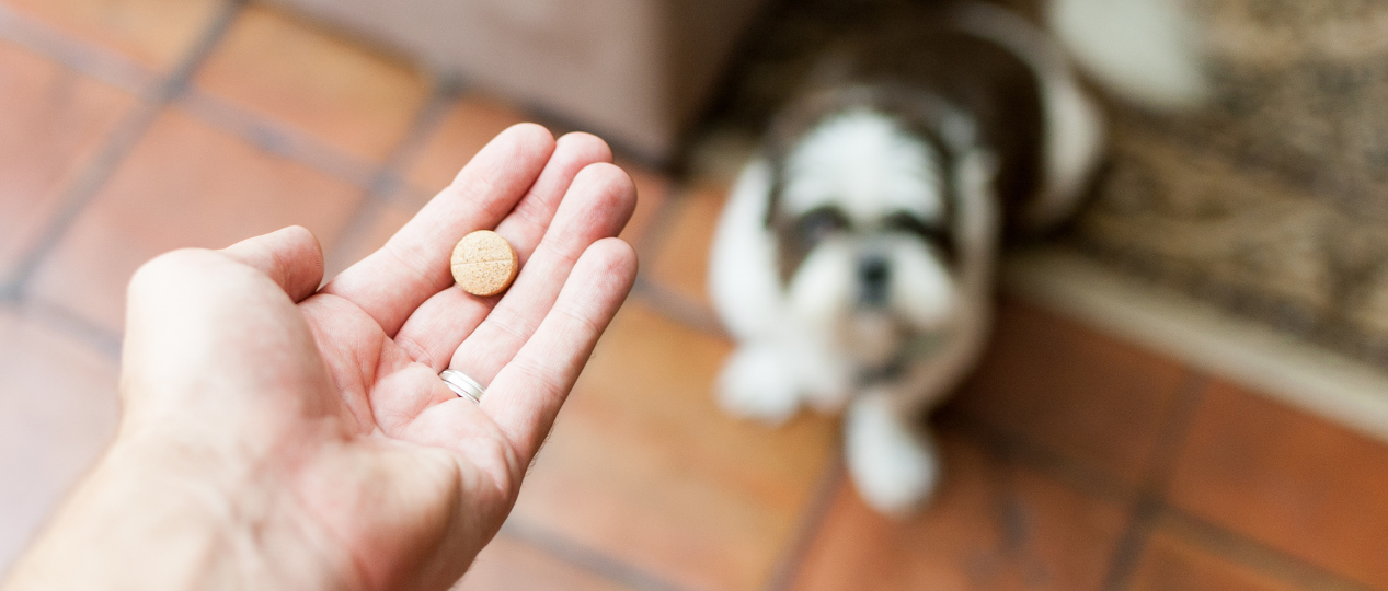 Voedingssupplementen voor huisdieren dieren
