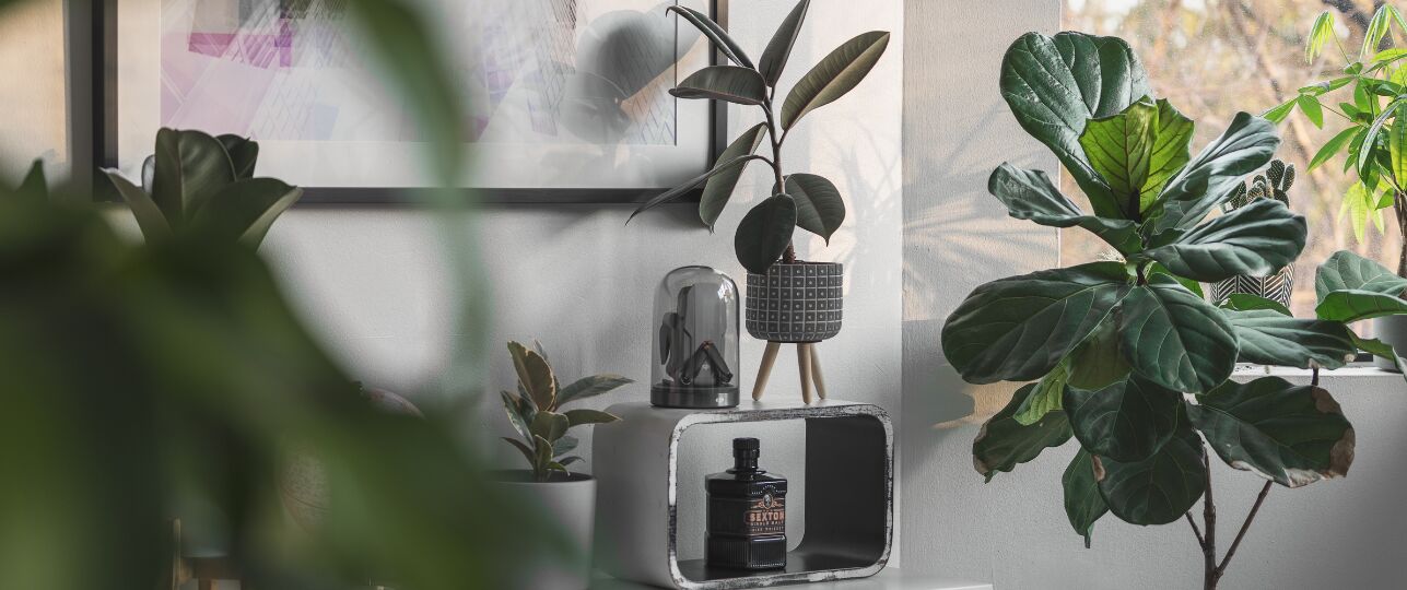 Planten trends najaar 2025