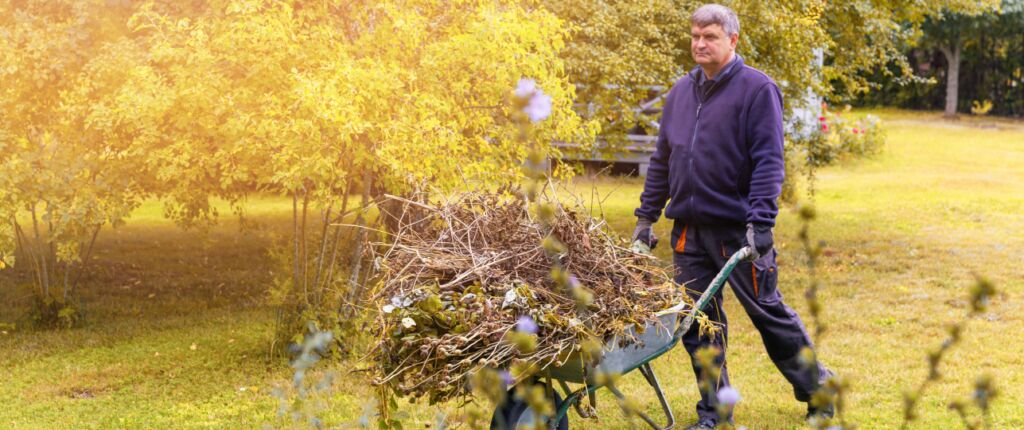 Huidige afbeelding: hoe tuin winterklaar maken