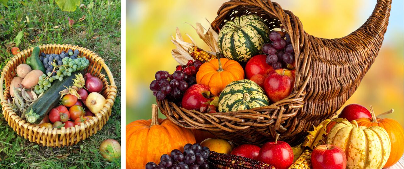 seizoensgroenten november