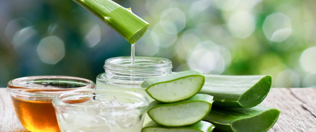 Huidige afbeelding: Aloë vera