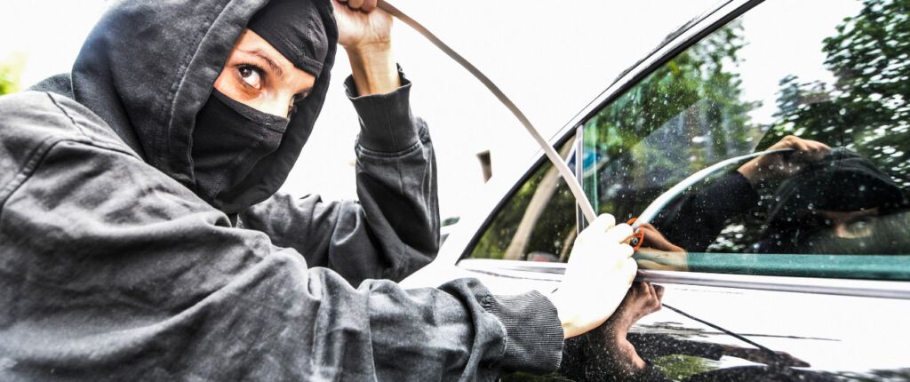 Huidige afbeelding: autodief