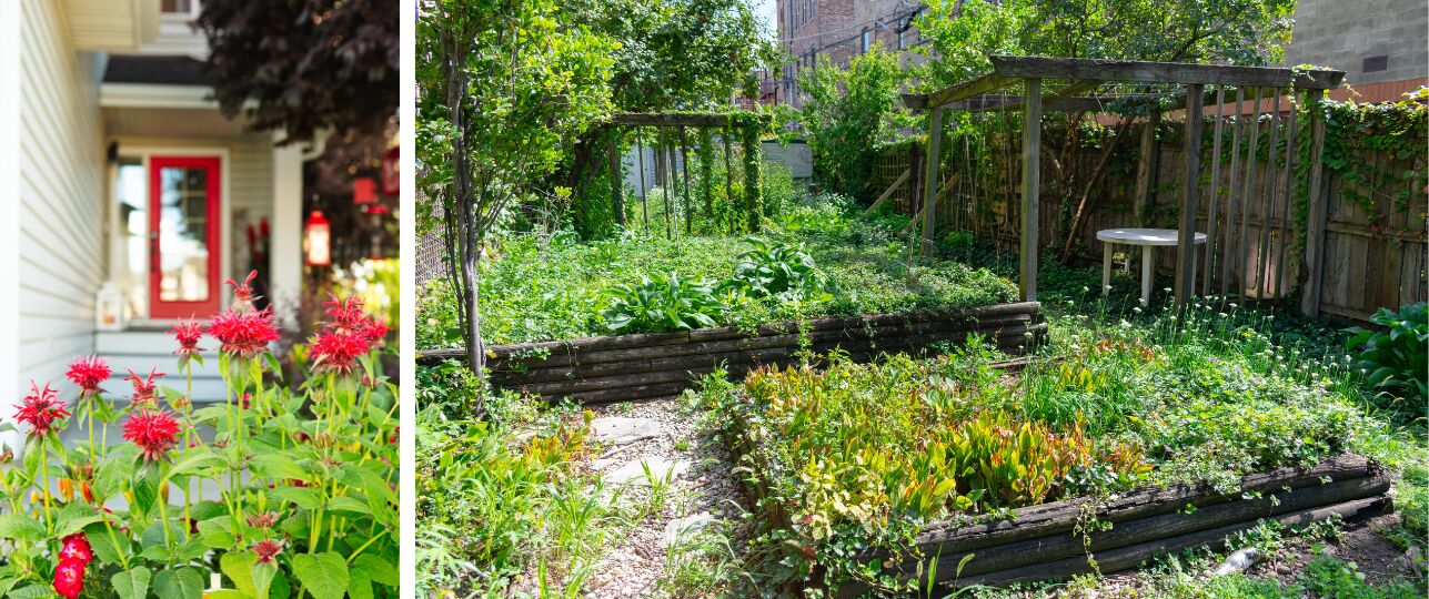 tuin tijdens zomervakantie