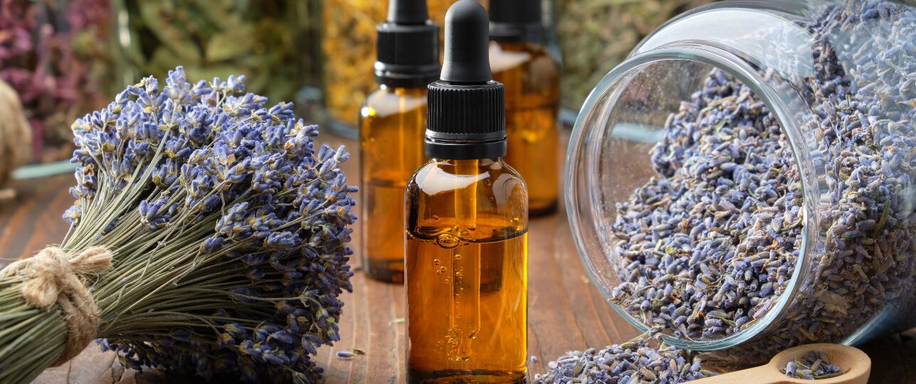 lavendel uitgebloeid