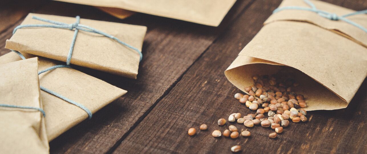 zaden oogsten en bewaren