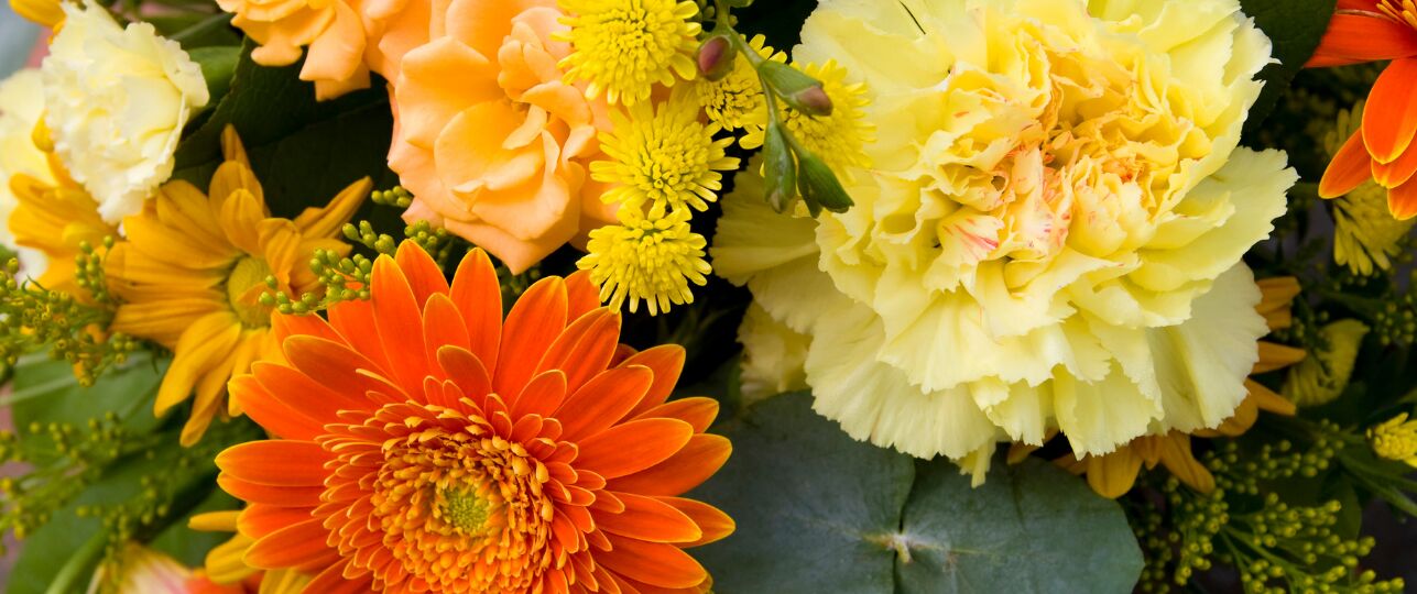 verse bloemen langer mooi