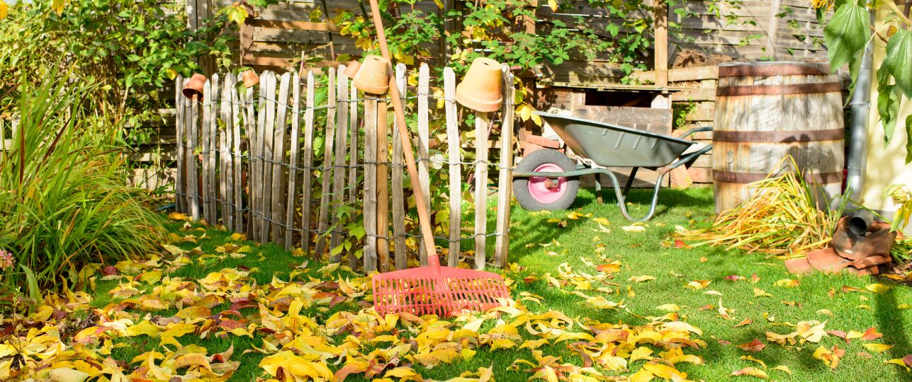 Tuinieren in de winter