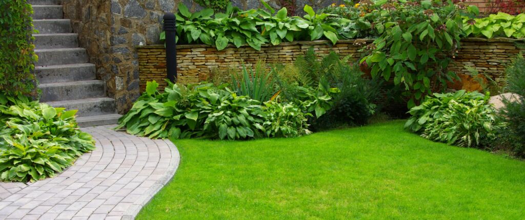 Huidige afbeelding: tuintrends-2025