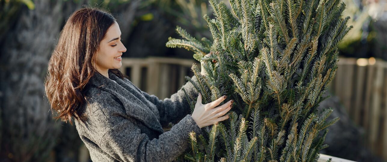 welke soort kerstboom alnger mooi