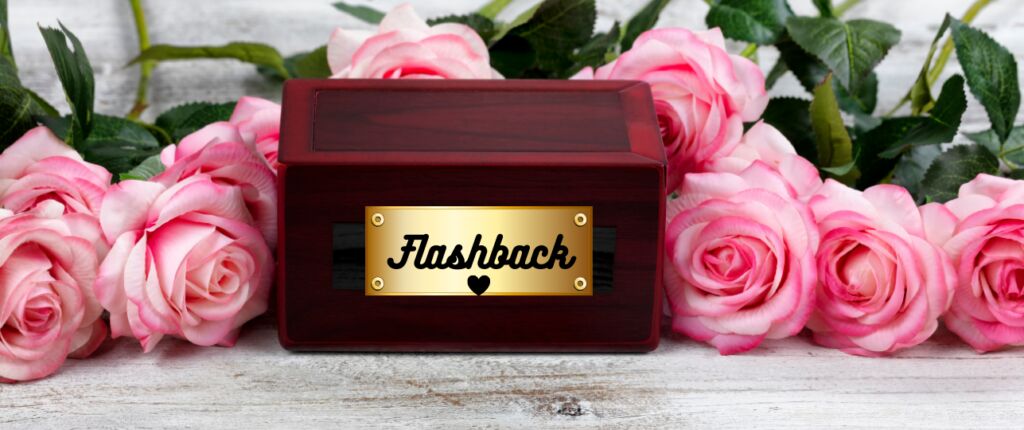 De huidige afbeelding heeft geen alternatieve tekst. De bestandsnaam is: Flash.png