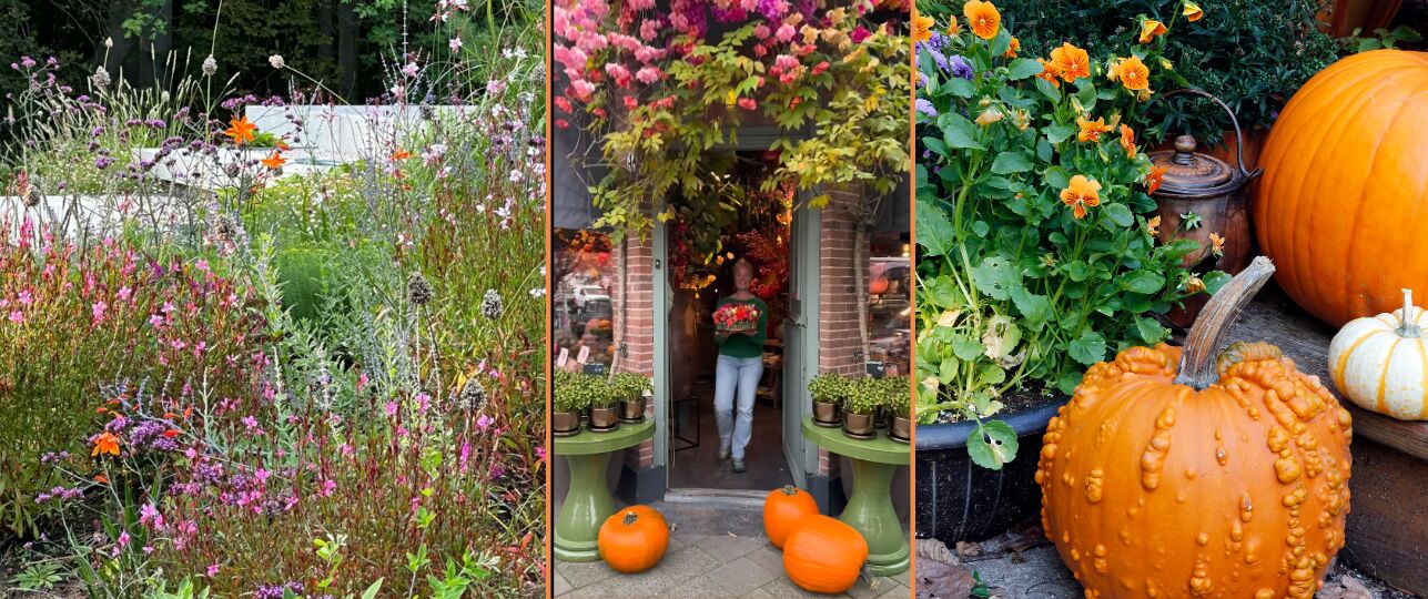 Groenfluencers om te volgen: van oude tv helden tot jonge blaadjes