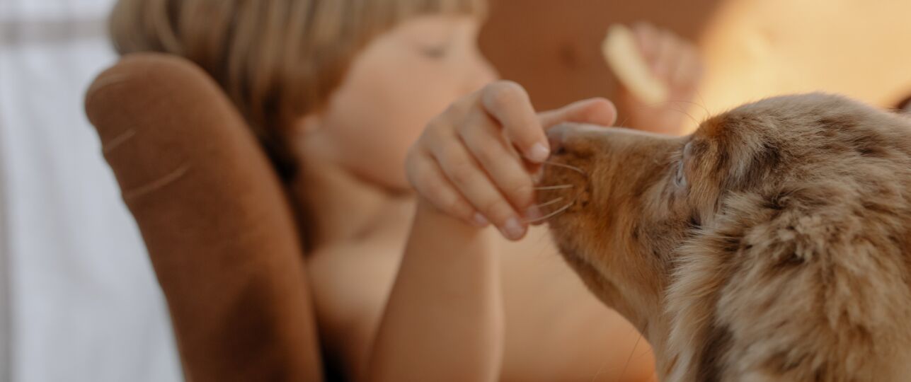 Honden ruiken stress