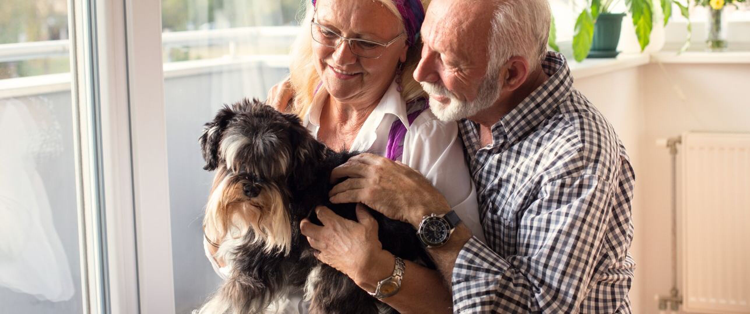 Langstlevende hondenrassen