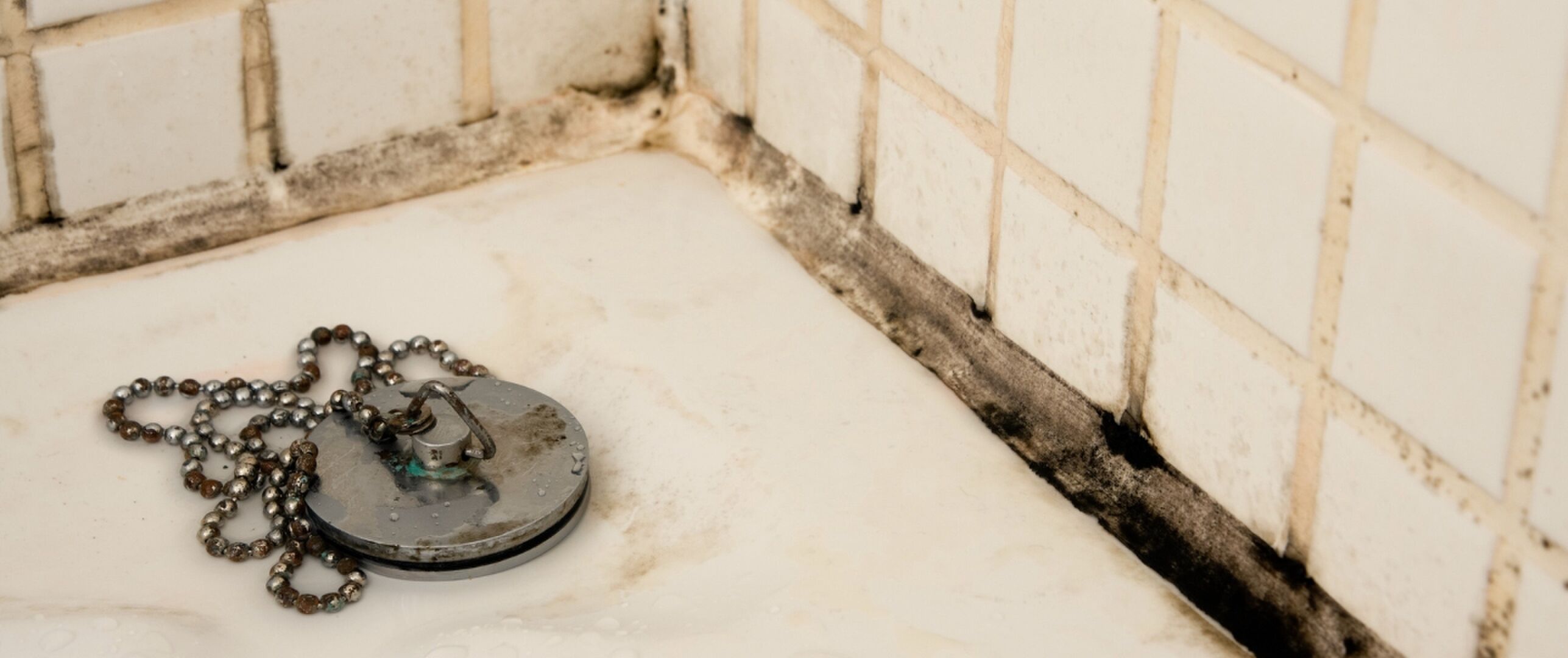 Denk je dat de voegen in je douche verprutst zijn? Zo krijg je ze weer schoon!