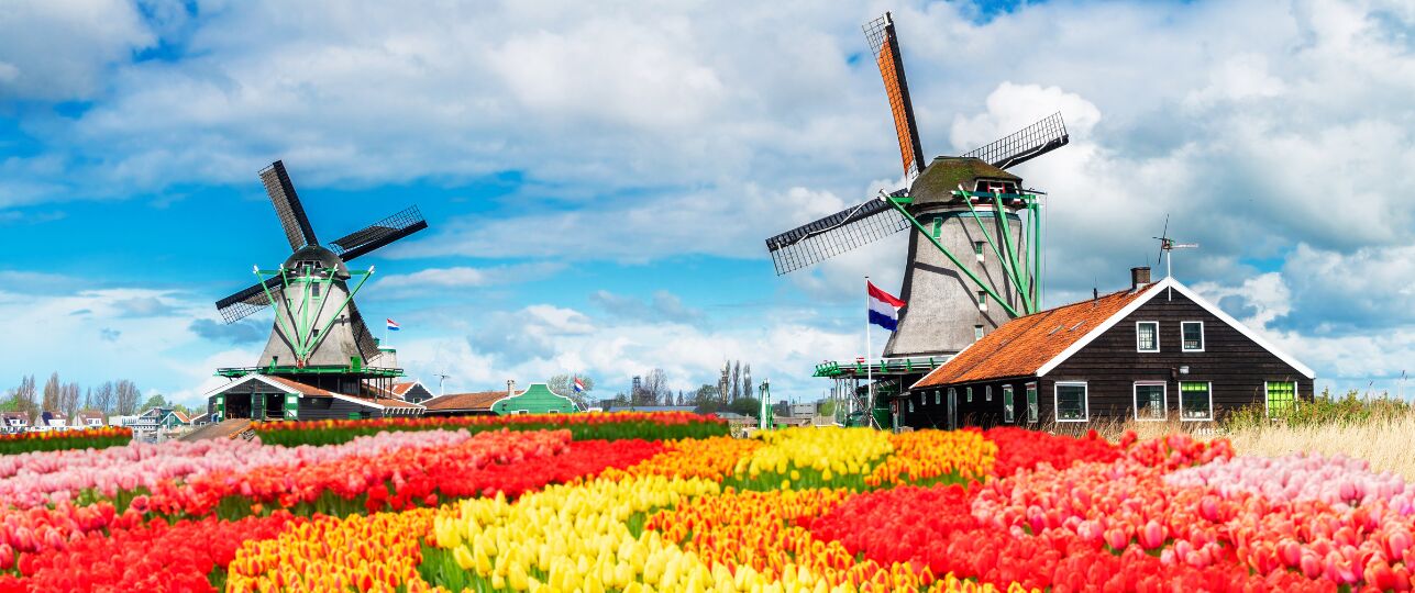 Nationale Molendagen