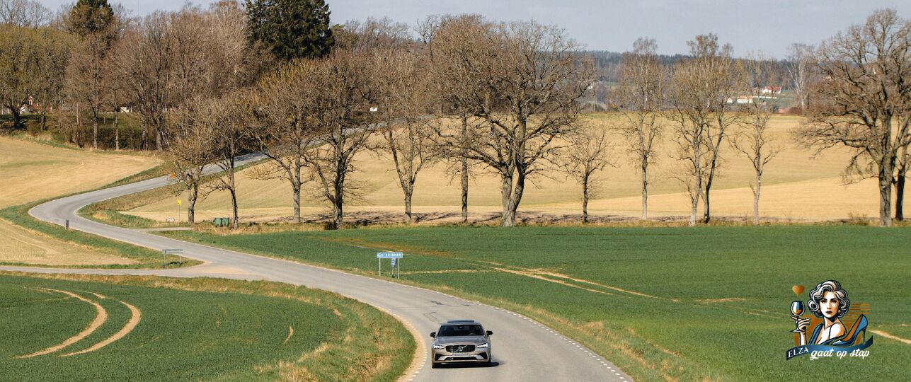 Elza gaat op stap met een onbekende een weekend weg