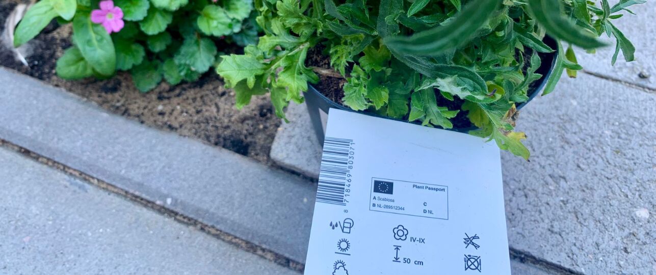 Plantenpaspoort