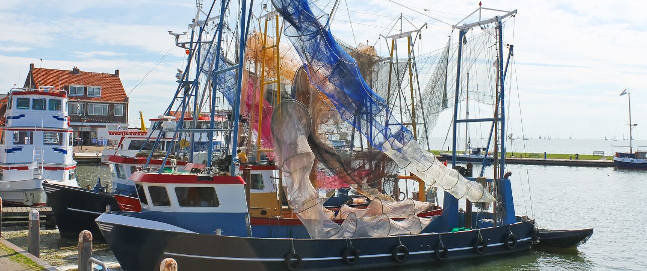 Volendammer vis Keuringsdienst van waarde