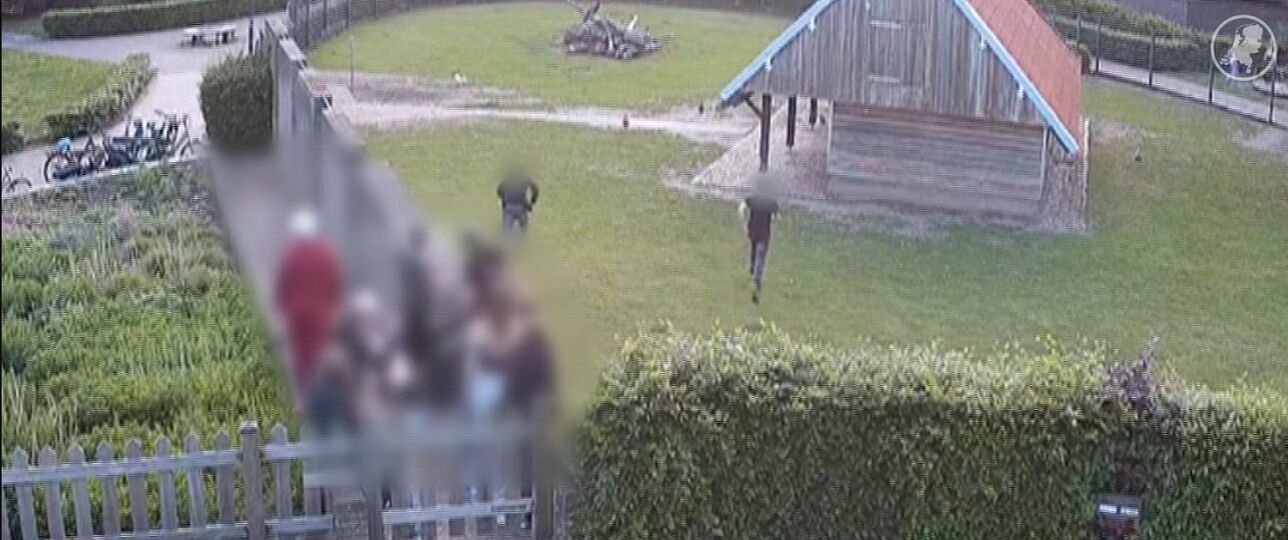 Jongeren gooien met kippen