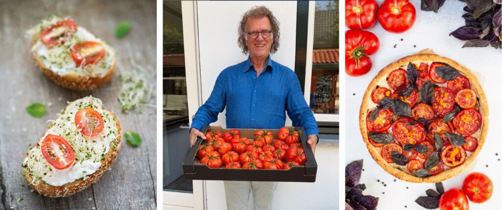 Huidige afbeelding: André Rieu tomaten pluktuinen