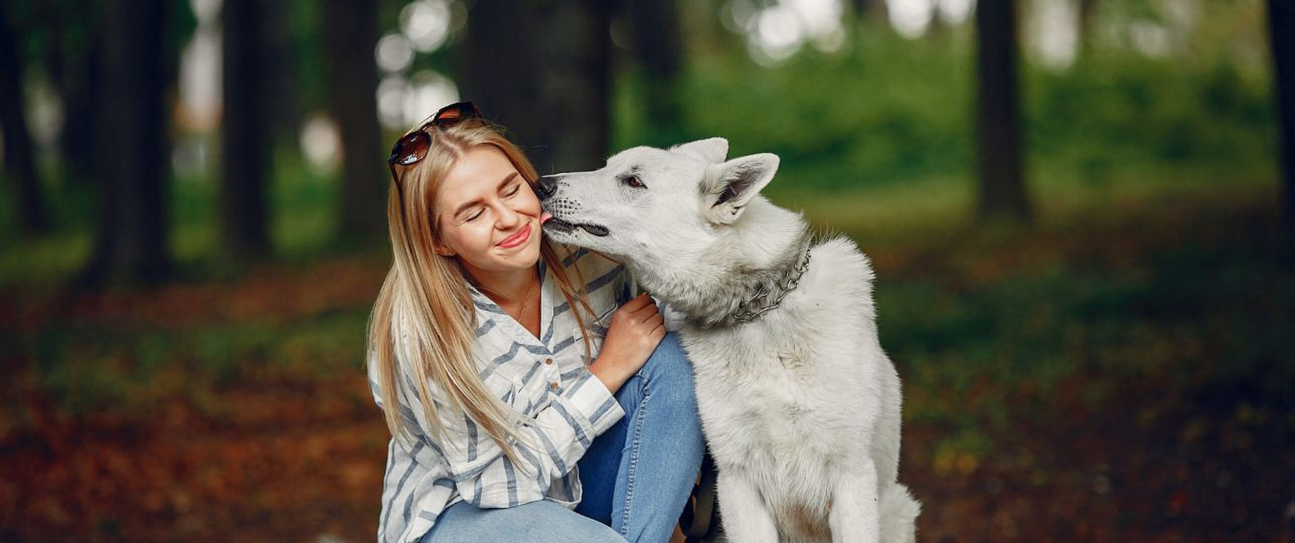 Laat je hond je niet in het gezicht likken