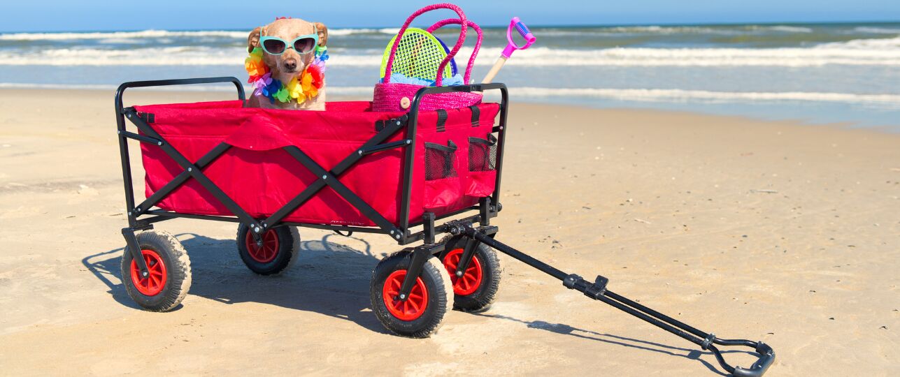 huisdier-oppasadres-vakantie