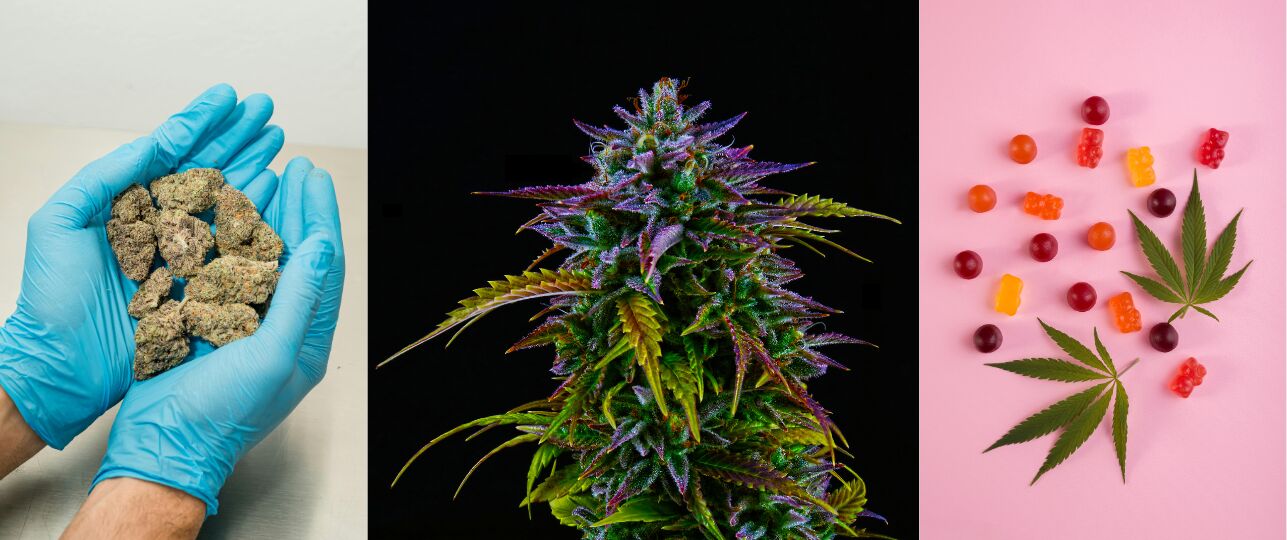 cbc oercannabis als medicijn