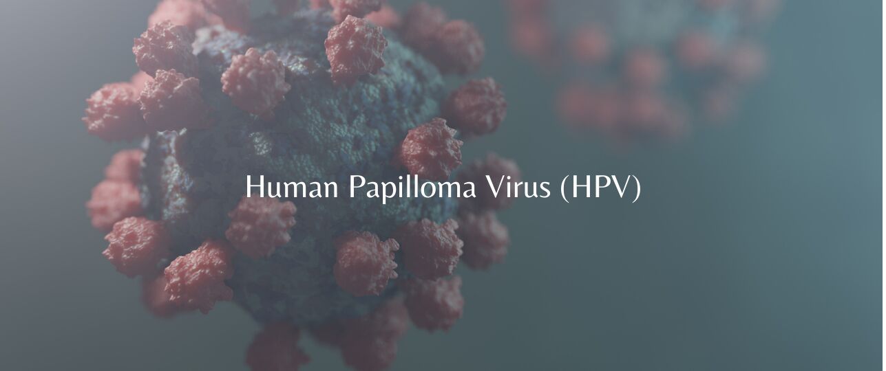 Human Papilloma Virus (HPV)