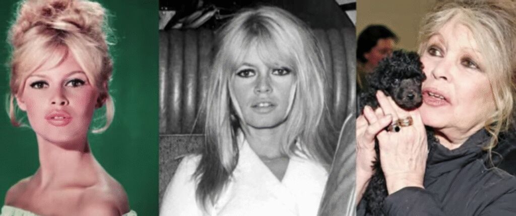 Huidige afbeelding: Brigitte Bardot