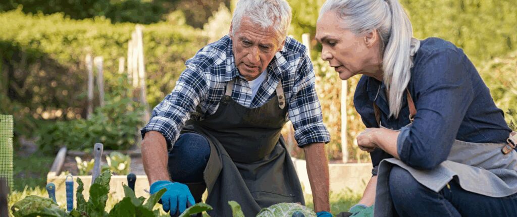 Huidige afbeelding: Ouderen aan het boeren
