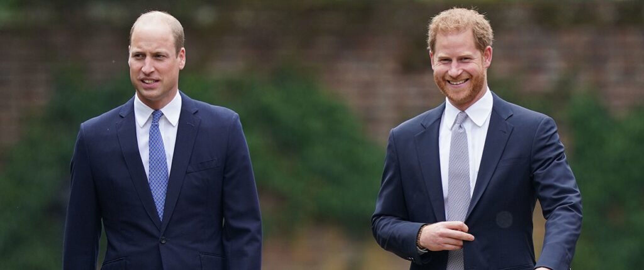 Huidige afbeelding: prins William en prins Harry grote verschillen