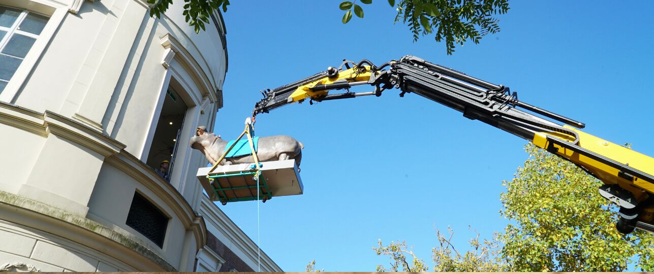 Tanja nijlpaar ARTIS