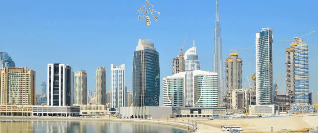 Huidige afbeelding: Ficus gaat belastingontduikers in Dubai opsporen