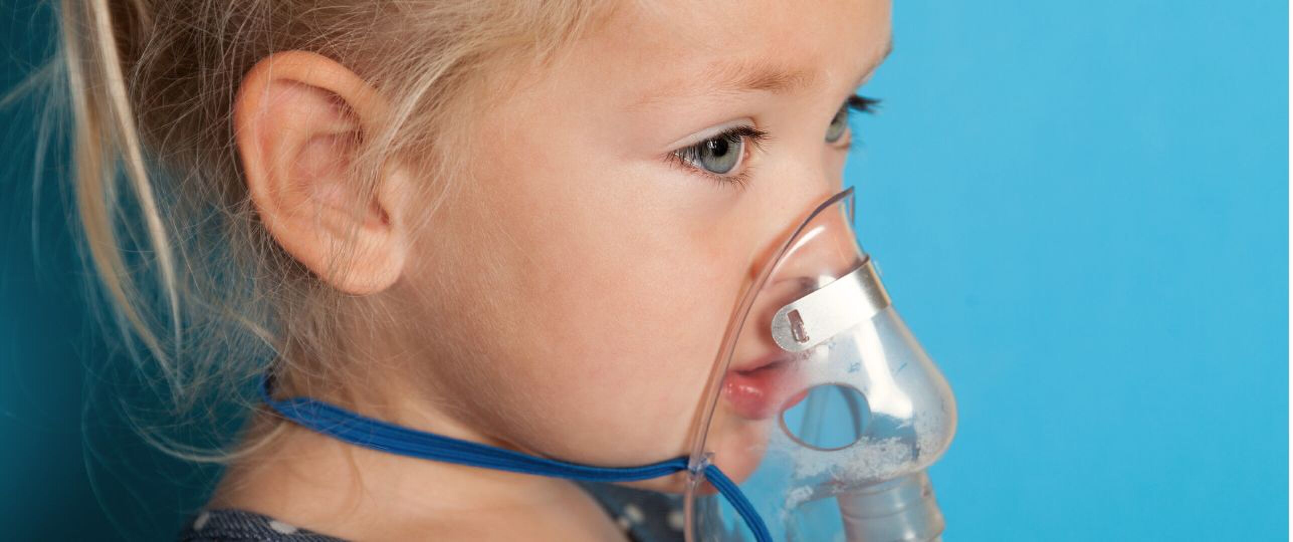 Opgroeien met dieren kan astma voorkomen