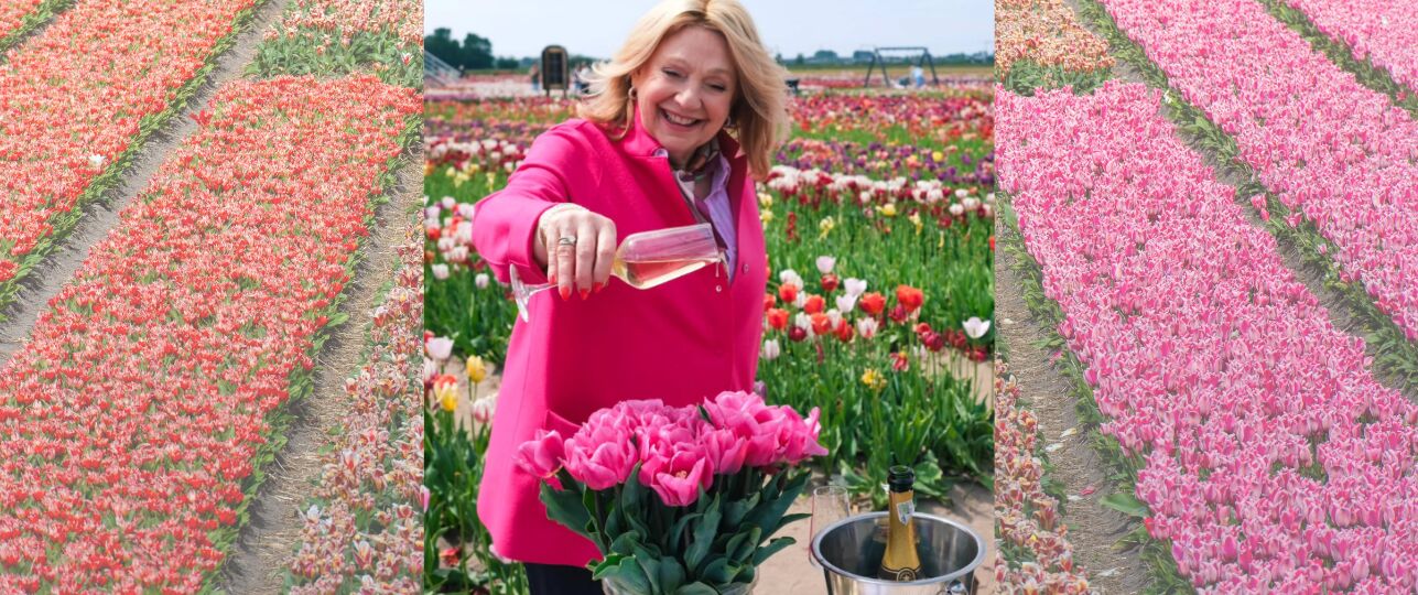 Tulp Janny van der Heijden