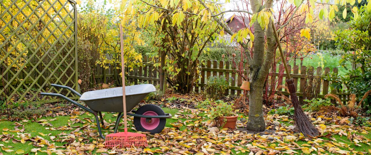 herfststorm tuin herstellen