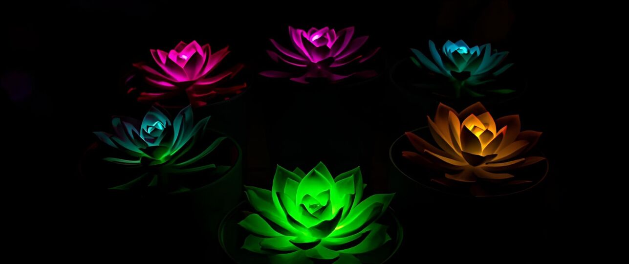 lichtgevende planten