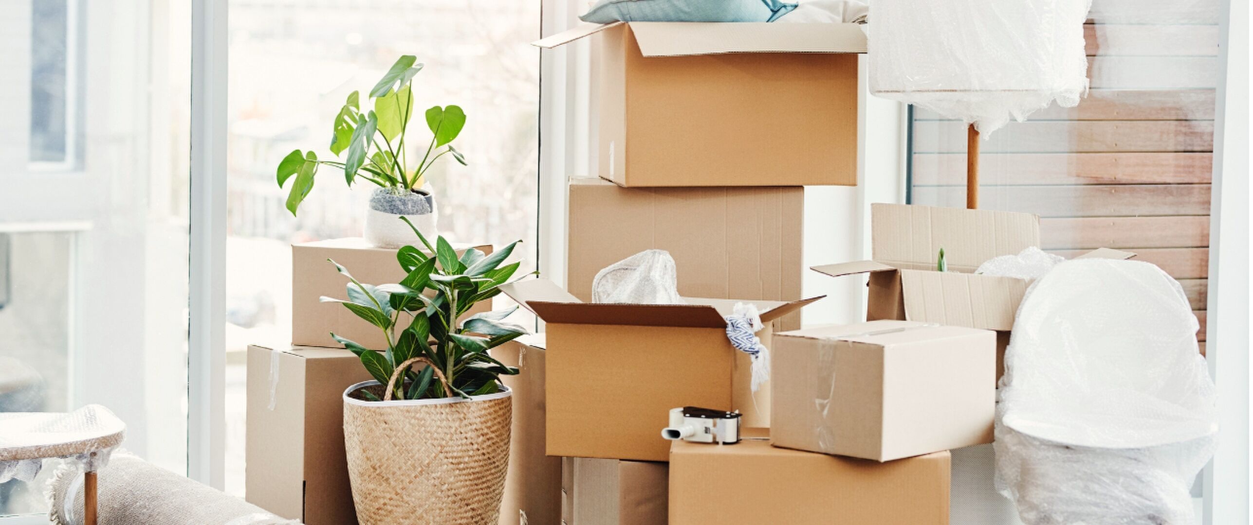 verhuiscoach senioren