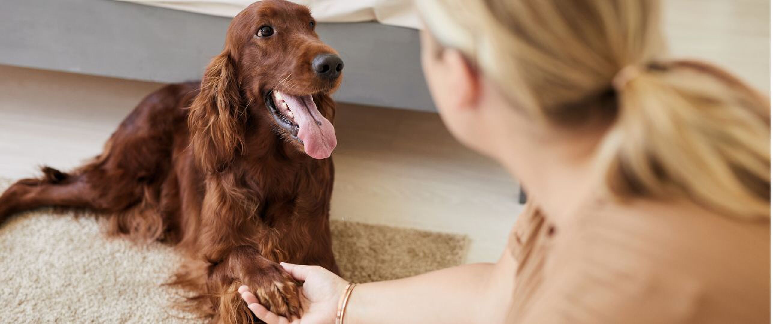 Is jouw hond links- of rechtspotig?