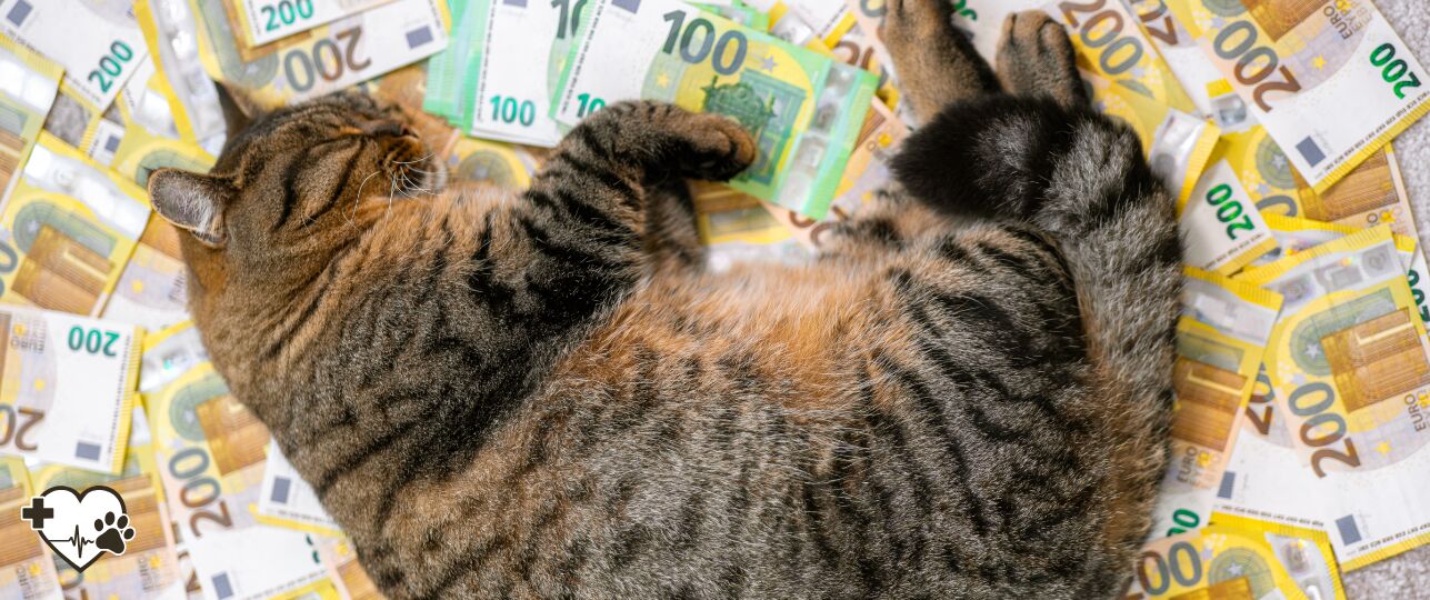 Vooraf standaard inzicht in dierenartskosten: kabinet stelt 250.000 euro beschikbaar