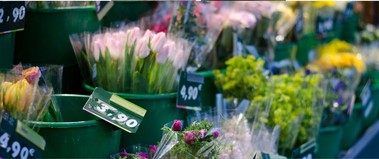 bloemen die lang meegaan