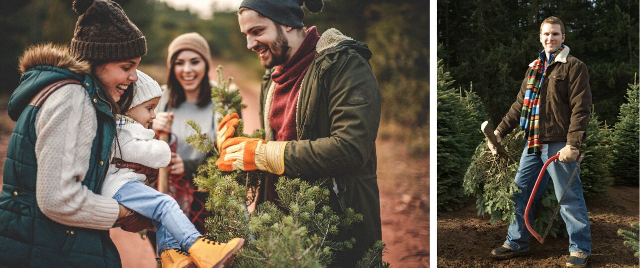 kerstboom zelf zagen in de natuur