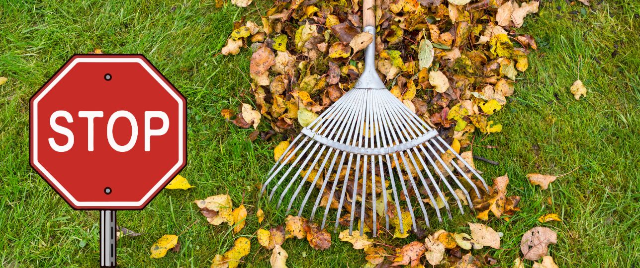 stoppen met bladeren harken