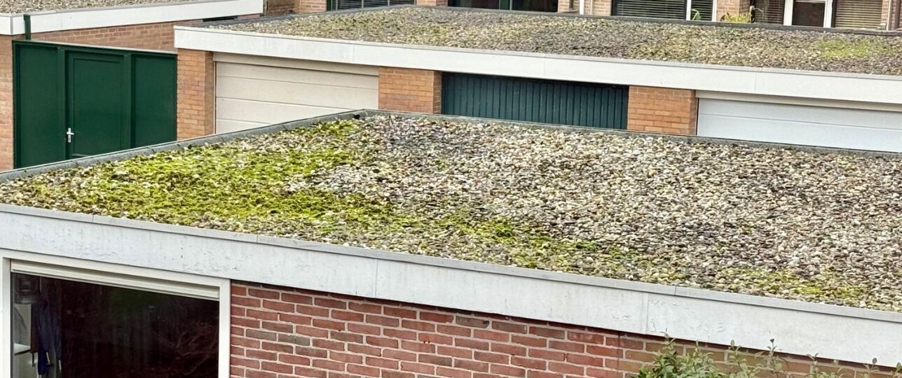 mosssen verwijderen dak